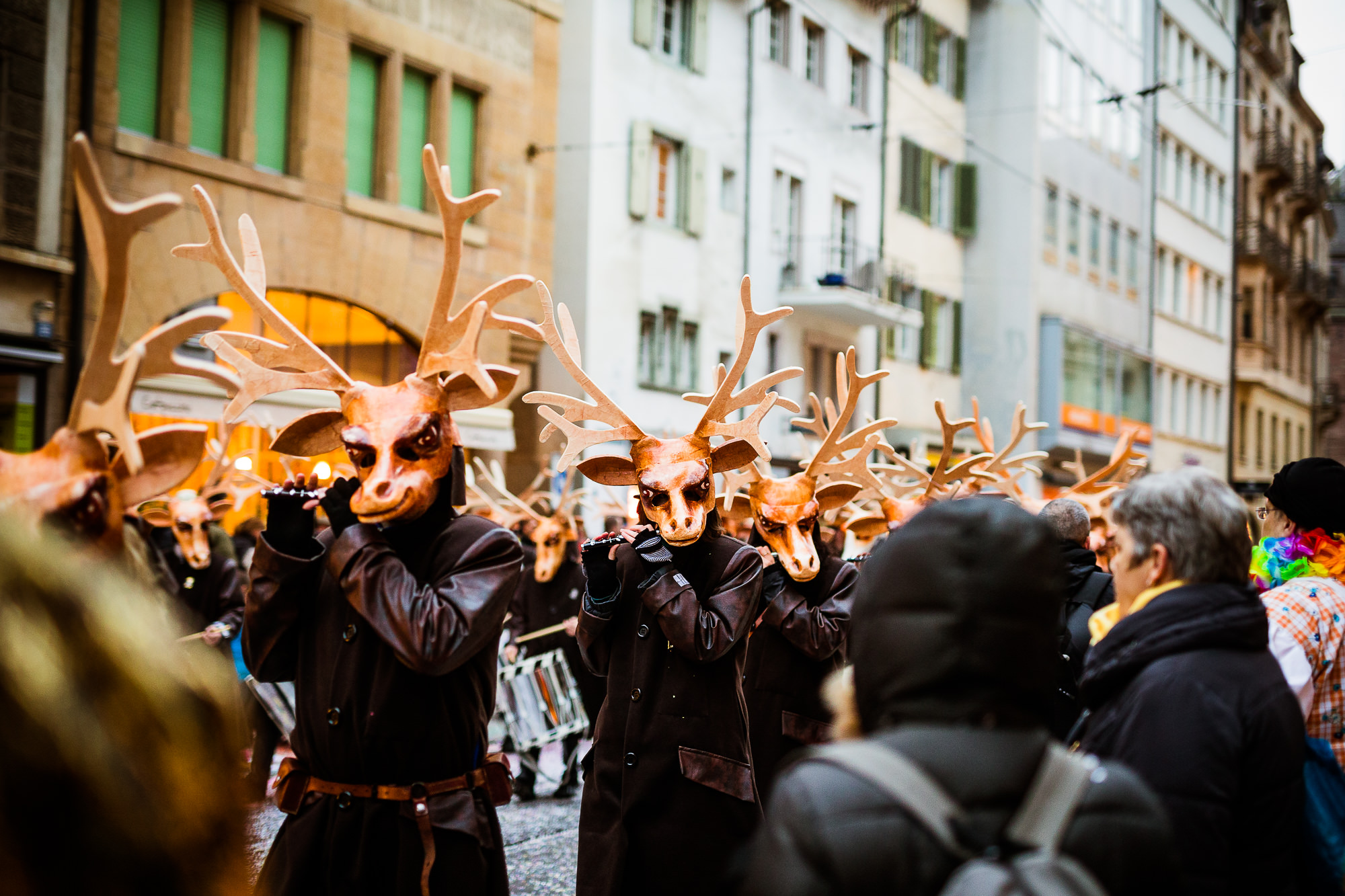 Export x3 1DX 7424 Basler Fasnacht 2016